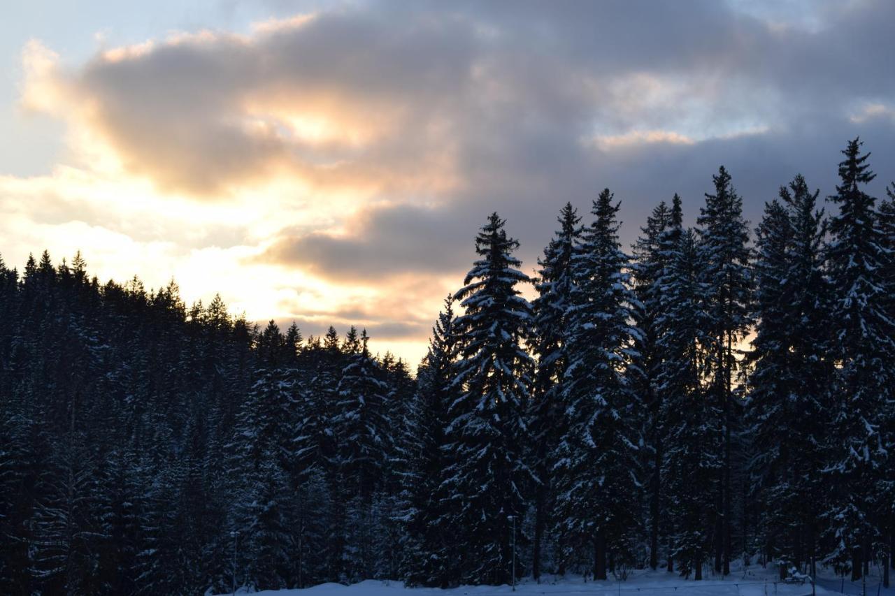 Grand Harrachov Pension V Centru Dış mekan fotoğraf
