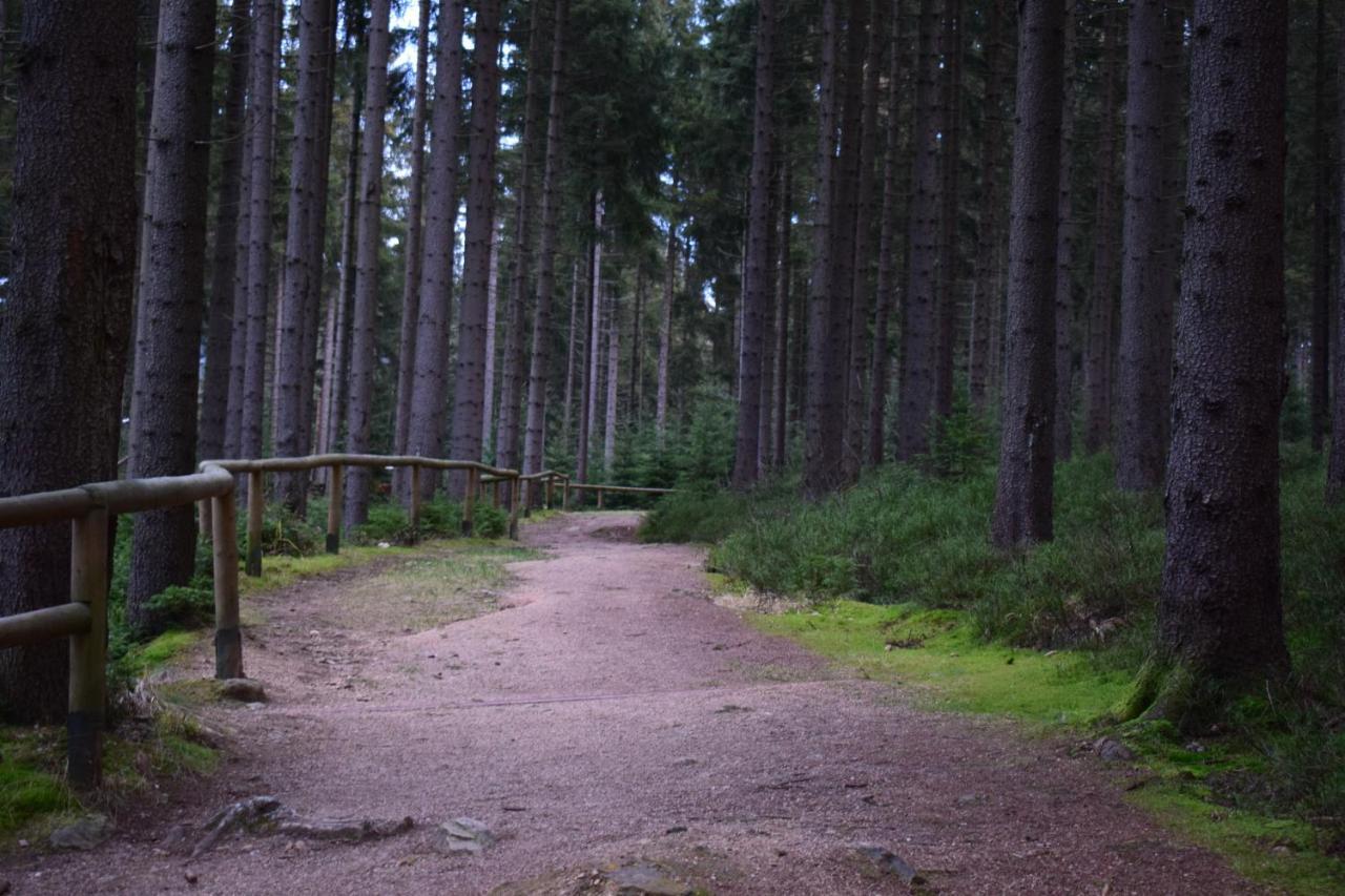 Grand Harrachov Pension V Centru Dış mekan fotoğraf